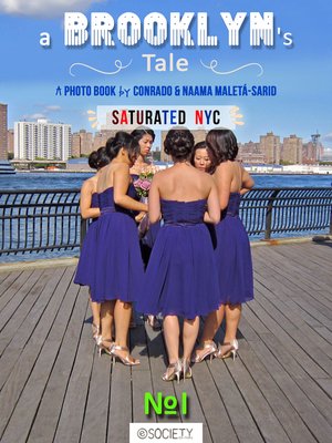 cover image of A Brooklyn's Tale #1